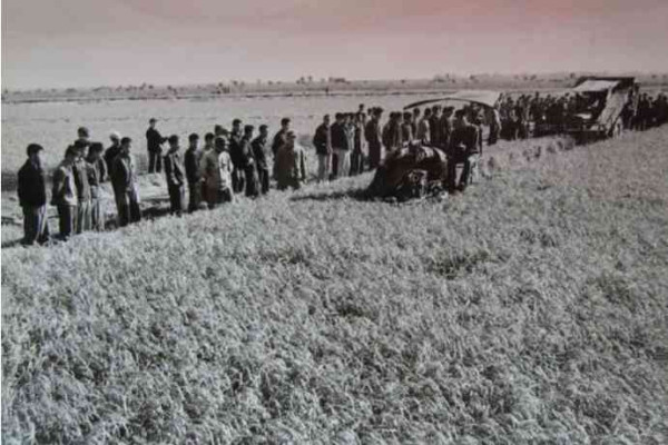 老照片：新中国70年代初期欣欣向荣的农村人民公社