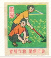 农业八字宪法：新中国农业生产力的革命