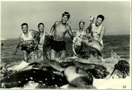 毛主席时代的钓鱼岛，令人惊叹！