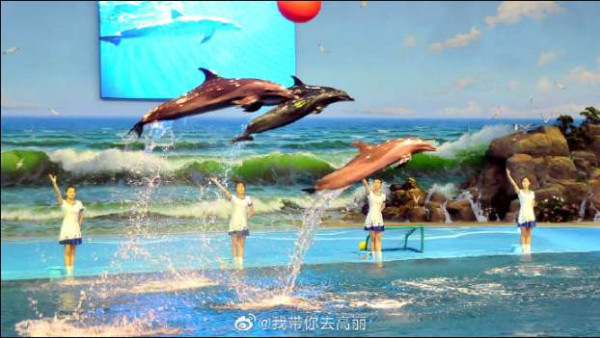 过去10年来，朝鲜发生了翻天覆地的变化