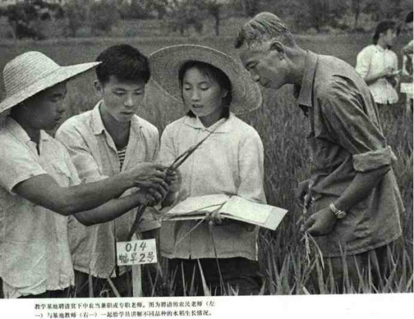 中华民族的子孙应当知道的关于毛主席的十四个谬论