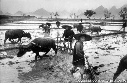 工业革命——世界工业化三百周年回眸(二十)(非常有价值)