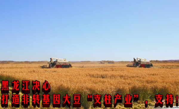 黑龙江决心打造非转基因大豆“支柱产业”，支持！
