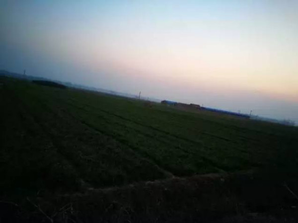 弘毅生态农场十大看点与村民发起的“一带一路”模式