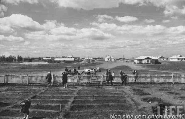 新中国工业革命与世界工业化回眸 （三）