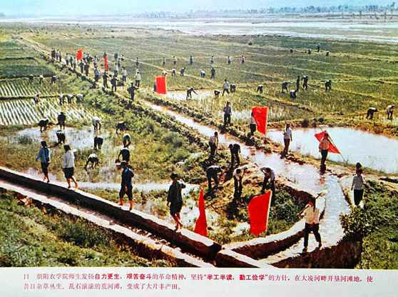 学校应当成为无产阶级专政的工具——记朝阳农学院1975.10