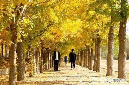 江宇:我在烟台,看到中国农村的未来