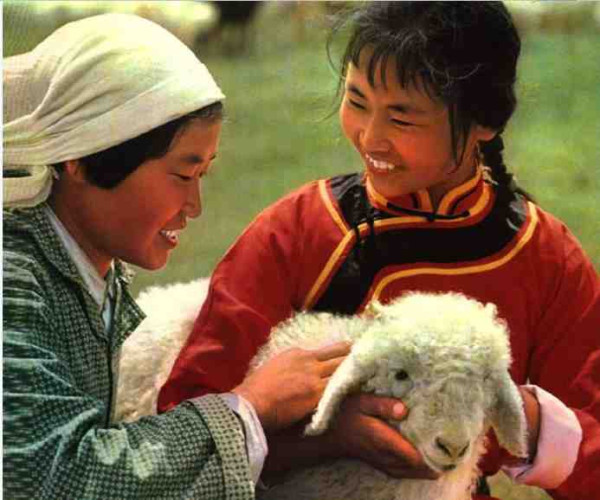 中华民族的子孙应当知道的关于毛主席的十四个谬论