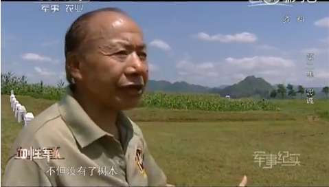 上甘岭381个弹孔的战旗,见证神秘的东方精神