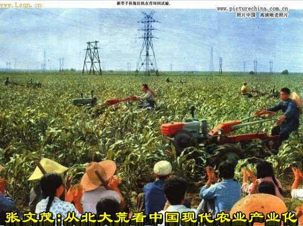 张文茂：从北大荒看中国现代农业产业化
