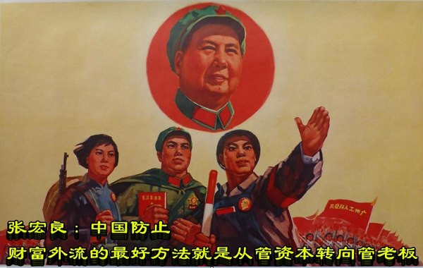 张宏良：中国防止财富外流的最好方法就是从管资本转向管老板