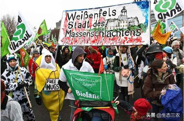 各国对转基因态度的真相来了！