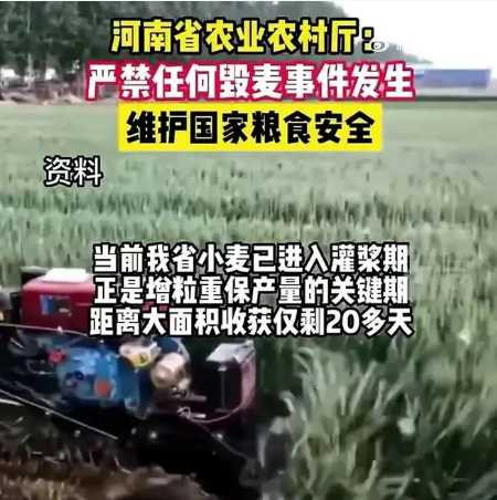张宏良：支持农业部禁止青储，呼吁扩大农业补贴