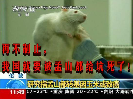 再不制止，我国就要被孟山都给坑死了！（综合）