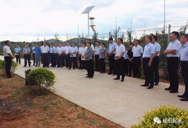 江宇:我在烟台,看到中国农村的未来