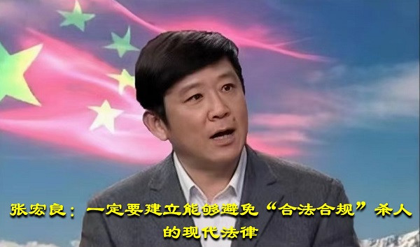 张宏良：一定要建立能够避免“合法合规”杀人的现代法律