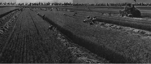 激情岁月！共和国留下父辈们创业的足印（14）