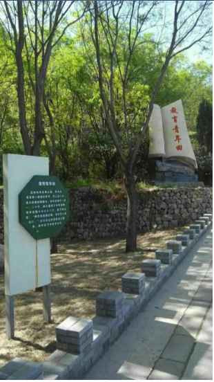 大寨----向全世界发出邀请