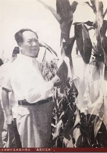 天眸：“85”留给我们的思念与思考