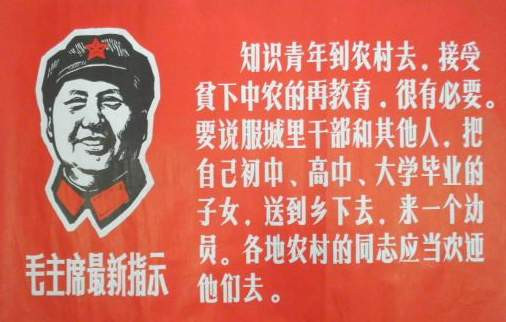 毛泽东忧虑干部子弟教育问题 从自身做起