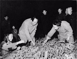 毛主席开辟的金光大道：略论人民公社的十大好处！