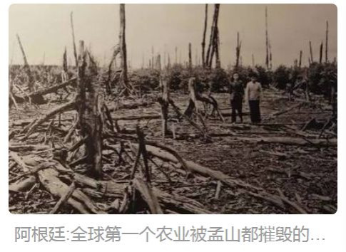 张宏良：全国各地民众联署签名，要求对转基因主粮立案调查