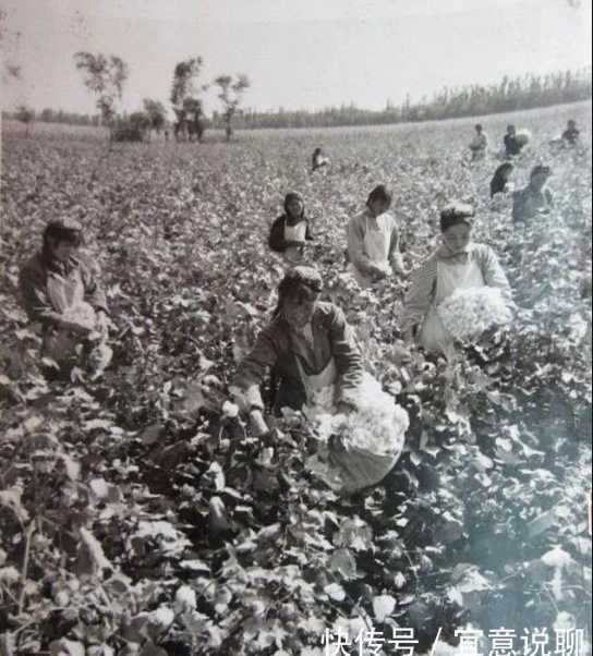 老照片：新中国70年代欣欣向荣的农村人民公社