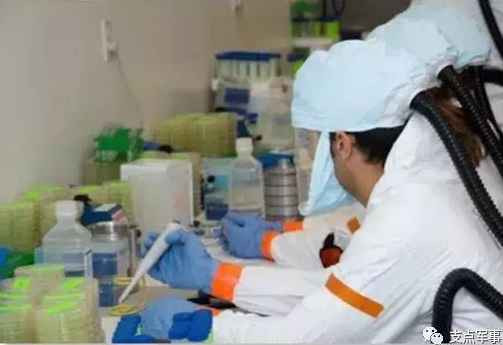 比731更邪恶，美国正秘密研制灭绝中俄的生物武器