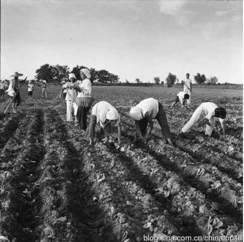 工业革命——世界工业化三百周年回眸（十二）