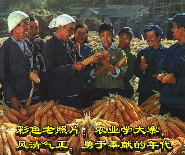 彩色老照片：农业学大寨，风清气正，勇于奉献的年代