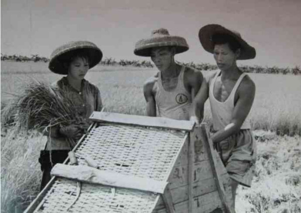 老照片：新中国70年代初期欣欣向荣的农村人民公社