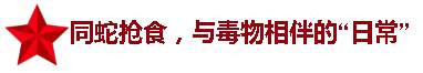 “国叔"讲故事——荒无之地的三线建设，每天都是荒野求生