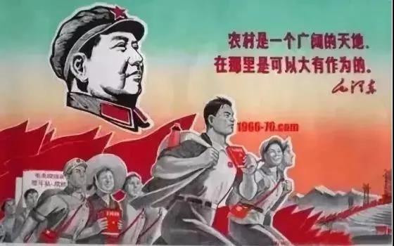 知青上山下乡是推动社会进步的伟大壮举！