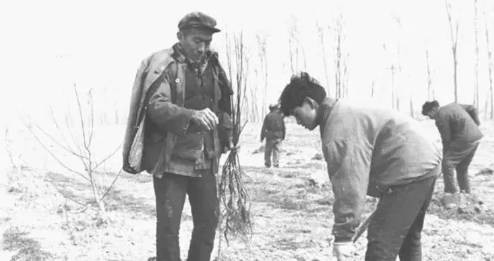 丰县往事：探寻“铁链女”的悲剧开端