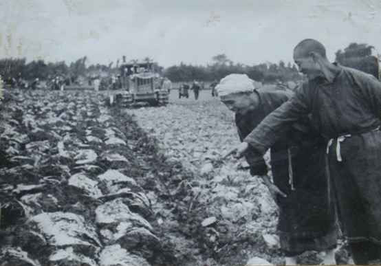 毛泽东社会主义光明道路——农业合作化运动