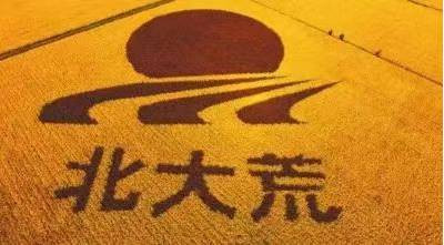 张文茂：从北大荒看中国现代农业产业化