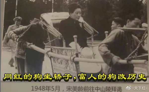 网红的狗坐轿子，富人的狗改历史