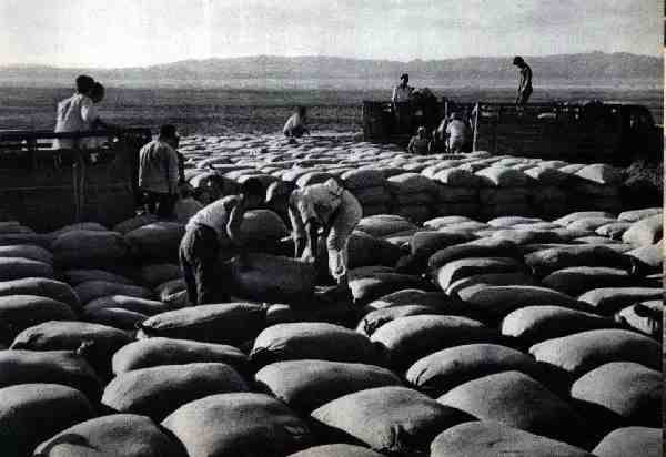 激情岁月！共和国留下父辈们创业的足印（4）