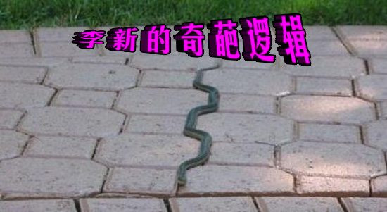 李新的奇葩逻辑——《二十三条）（综合）