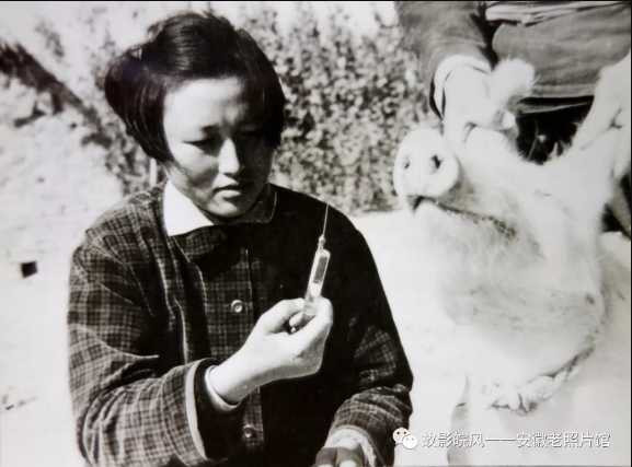 独家影像:安徽70年代的“知青”岁月