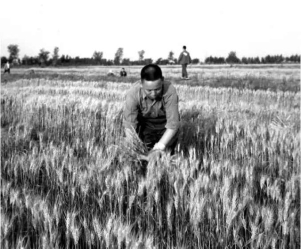 艰难奠基，新中国前三十年史诗般波澜壮阔的工业史（中）