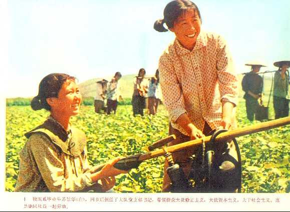 学校应当成为无产阶级专政的工具——记朝阳农学院1975.10