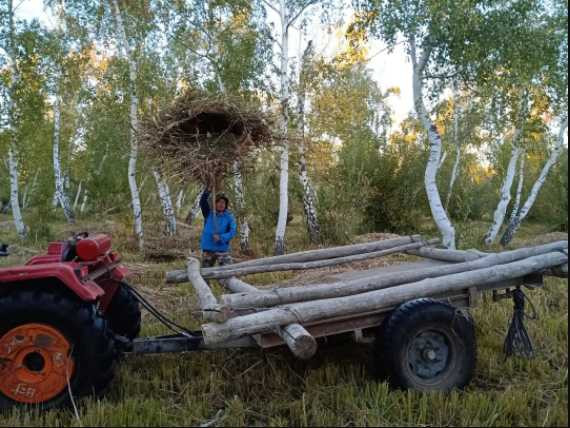 结亲，我只服你：和亲戚把日子过成一首诗