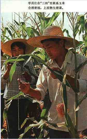 中华民族的子孙应当知道的关于毛主席的十四个谬论