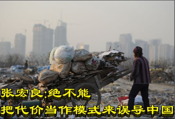 张宏良：绝不能把代价当作模式来误导中国