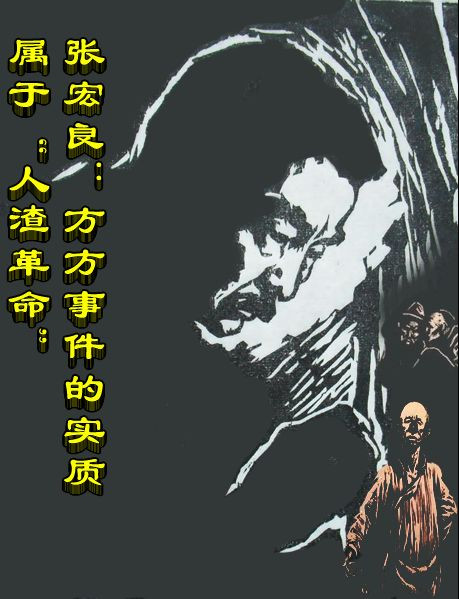 张宏良：底层市民反毛猪狗不如——五评方方事件