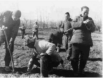 货币大决战之运筹