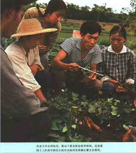 中华民族的子孙应当知道的关于毛主席的十四个谬论