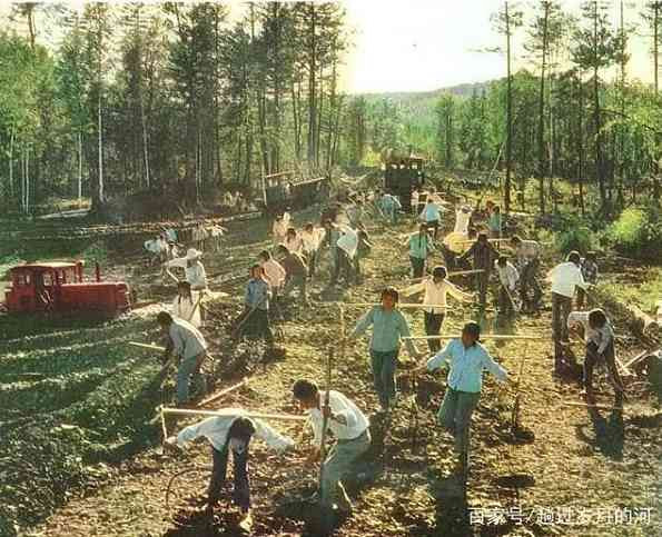 一组知青上山下乡插队的彩色照片