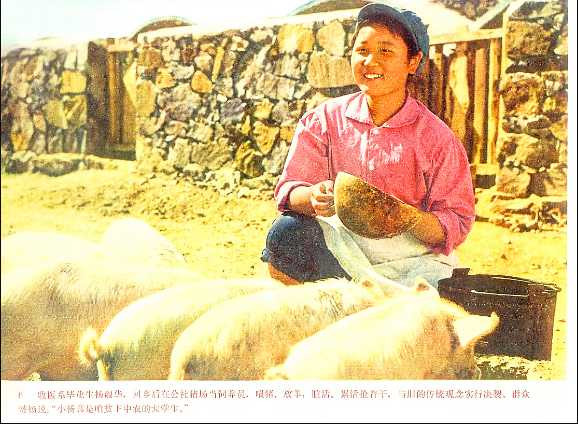 学校应当成为无产阶级专政的工具——记朝阳农学院1975.10